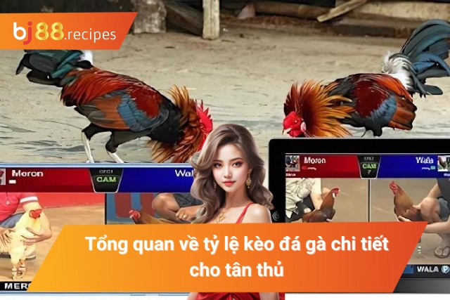 Tổng quan về tỷ lệ kèo trong hình thức đá gà