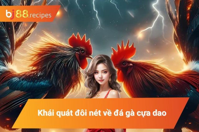 Sơ lược về chọi kê cựa dao mà bạn phải biết