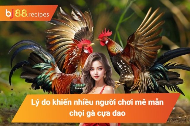 Những yếu tố lôi cuốn hội viên của chọi kê cựa dao