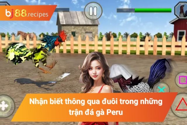 Nhận dạng chiến kê thông qua phần đuôi 