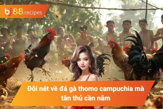 Tổng quan về chọi gà thomo campuchia