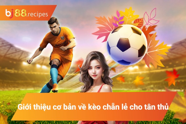 Tìm hiểu cơ bản về kèo cược chẵn lẻ cho tân thủ