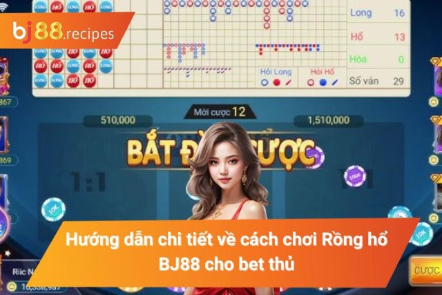 Luật chơi và các quy tắc của rồng hổ